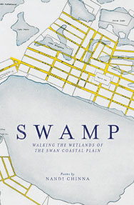 Image of book cover Swamp of a topographical map