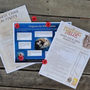 Photo of ANZAC themed activity sheets