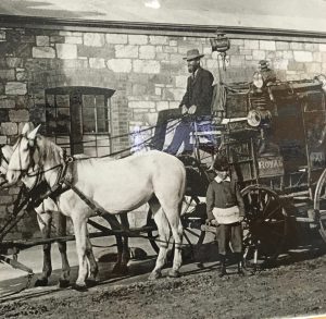 Old photo of Mr Snell's coach and two white horses