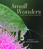 Small Wonders: A close look at nature's miniatures